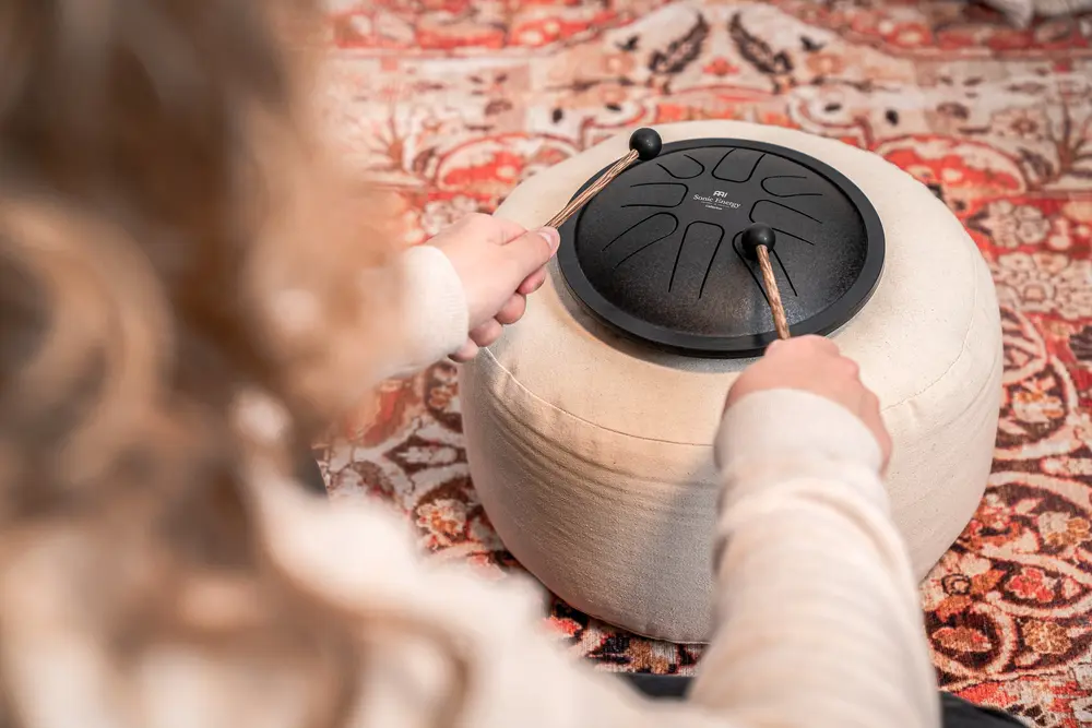 תוף לשוניות Meinl SSTD1BK SH.