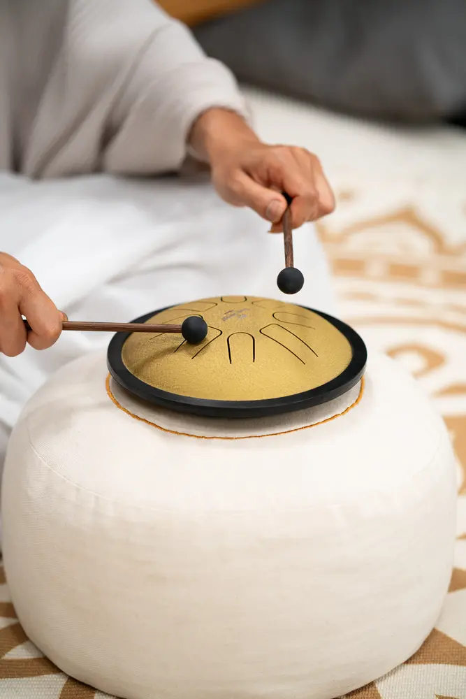 תוף לשוניות SSTD3G Meinl SH