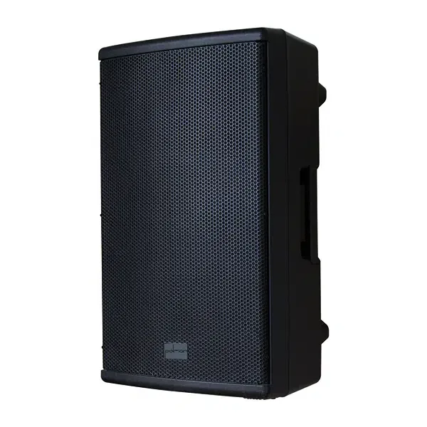 רמקול מוגבר 10" Polman APJ10AD 600W.