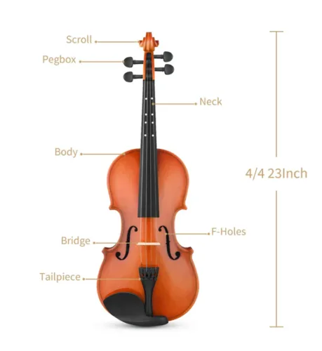 ערכת כינור EVA-2 4/4 מבית EASTAR