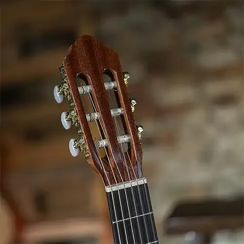 גיטרה קלאסית מוגברת Peavey CNS-CE