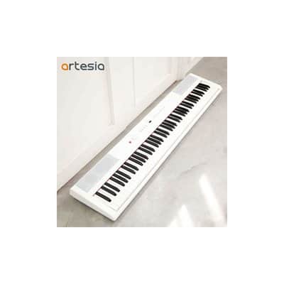 artesia AM-1