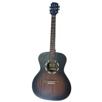 גיטרה אקוסטית מקצועית מבית JOHN SMITH OM-20