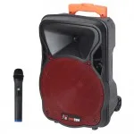 בידורית 10 עם 300 וואט + UHF AP10-100 Apextone